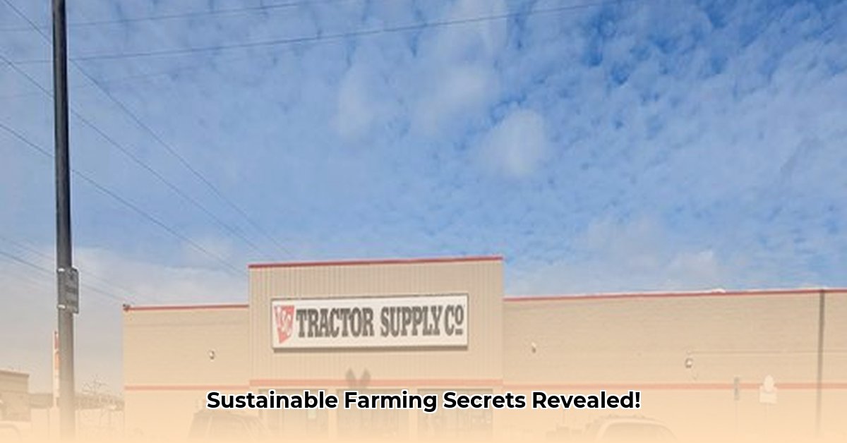 tractor-supply-cedar-springs-michigan